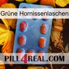 Grüne Hornissenlaschen 06